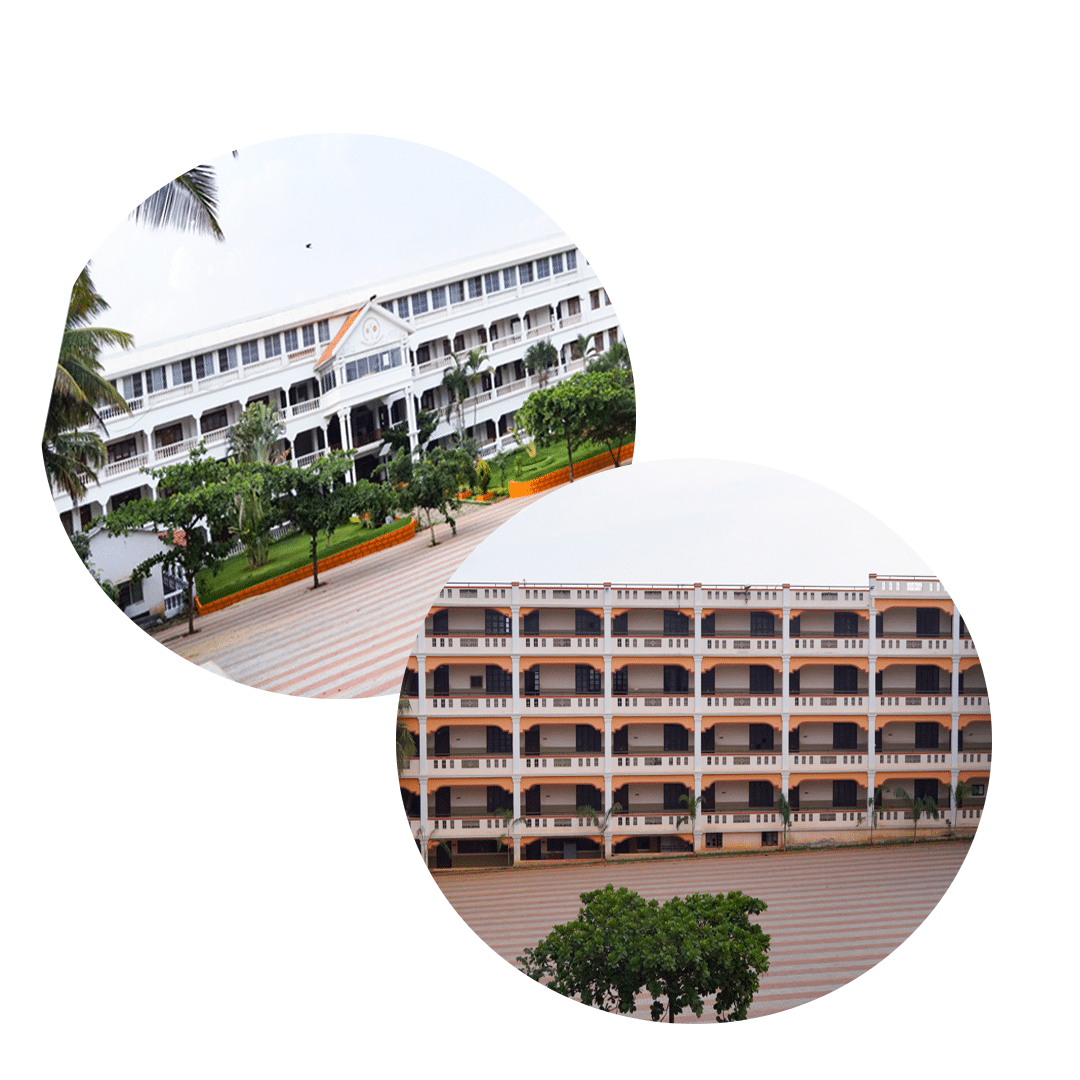 SJES College of Management and Nursing